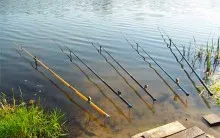 Abban harapás ponty legjobb csali és csalik, kezelése elkapta a tavasszal, télen, nyáron és ősszel, video