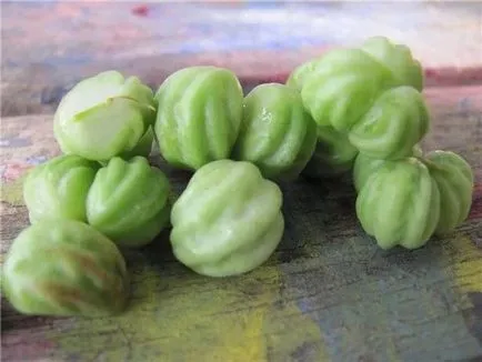 Nasturtium satnya termesztése magvak (magok) Nasturtium satnya növekvő magról