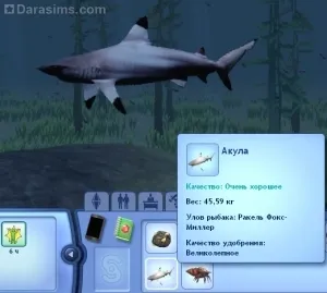 Búvárkodás és merülés készség „The Sims 3 paradicsomi sziget”, az univerzum a játék a Sims! (Skill) Búvárkodás és merülés készség „The Sims 3 paradicsomi sziget”, az univerzum a játék a Sims!