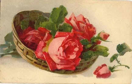 Egy kis szín szókincs