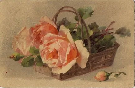Egy kis szín szókincs