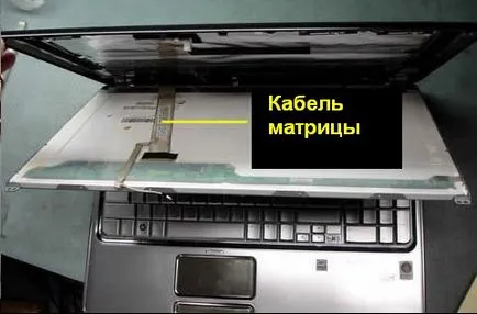 Laptop színes torzítás a képernyőn (szín) Laptop színes torzítás a képernyőn