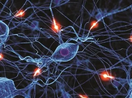 Ideggyengeség - Causes, tünetek és kezelés (tünetek) Ideggyengeség - okai, tünetei és kezelése