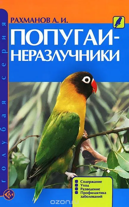 Lovebirds papagájok otthon tartalommal (papagájok) Lovebirds papagájok a hazai tartalom