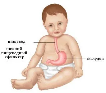 Újszülött gyakori csuklás, miért, mit kell tenni, hogyan lehet segíteni a gyermek megbirkózzon csuklás (do) Újszülött gyakori csuklás, miért, mit kell tenni, hogyan lehet segíteni a gyermek megbirkózzon csuklás