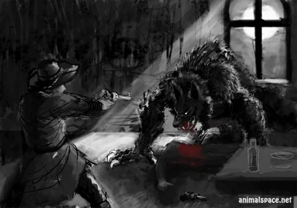 Farkasember - hírek az állatokról, ritka állatok és mitikus állatok (alkalommal) Farkasember - hírek az állatokról, ritka állatok és mitikus állatok