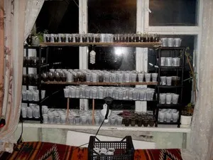 Jellemzői termesztése paradicsom palántákat az otthoni (feltételek) Jellemzői termesztése paradicsom palántákat az otthoni