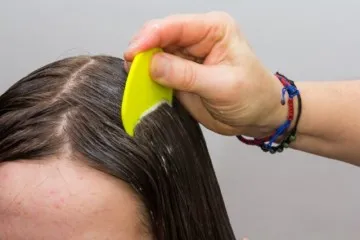 A fő félelem tetvek