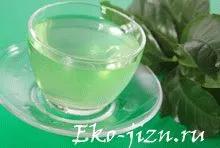 Grow menta az ablakpárkányon semmi sem könnyebb! (Sill) Grow menta az ablakpárkányon semmi sem könnyebb!