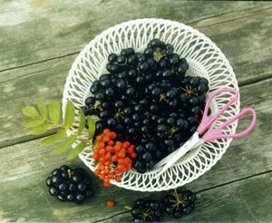 Növekvő magról bogyók Sunberry eljárás gondozásában áfonya és jótékony tulajdonságokkal