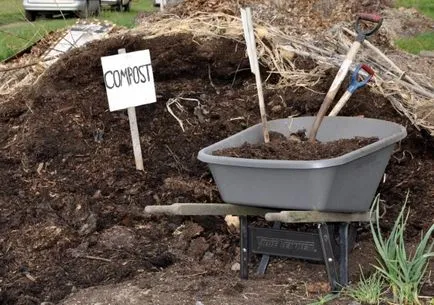 Növekvő gombát otthon lépésről lépésre technika!