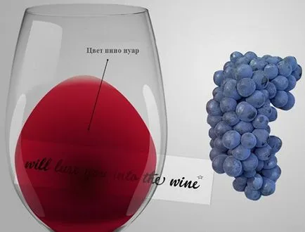 Bor „Pino Nuar (pinot noir)» - jellemzői és fogyasztási kultúra