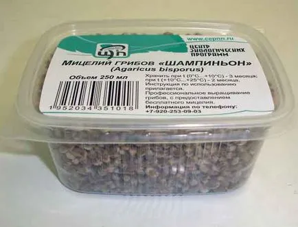 Növekvő gombát otthon lépésről lépésre technika!