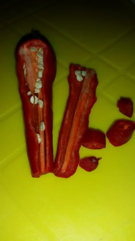 Paprika termesztés otthon