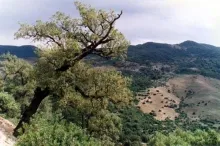 Hotelek 1 vonal ultra all inclusive (ultra all inclusive) igénybe Tunézia - ünnepek Pegas Touristik Hotelek 1 vonal ultra all inclusive (ultra all inclusive) igénybe Tunézia - ünnepek Pegas Touristik