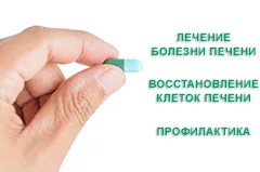 Miért fáj a májat, és hogy ebben az esetben, hogy ajánlásokat, hogy megszüntesse a fájdalmat a (májműködési fáj) Miért fáj a májat, és hogy ebben az esetben, hogy ajánlásokat, hogy megszüntesse a fájdalmat