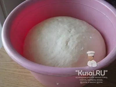 Pizza gombával és paradicsommal - lépésről lépésre recept fotók