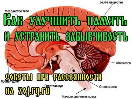 Rossz memória és a zavaró -, hogyan lehet javítani az agy működését, és javítja a figyelmet, kezelést otthon Rossz memória és a zavaró -, hogyan lehet javítani az agy működését, és javítja a figyelmet, kezelést otthon