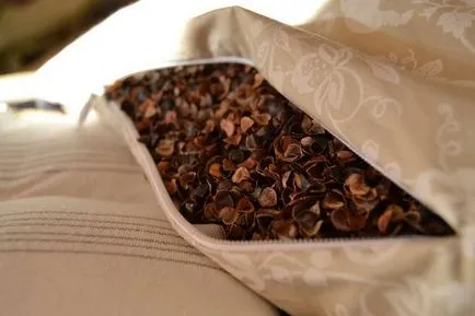 Párna hajdina pelyva előnyei és hátrányai, az egyedi termékek (párna) Párna hajdina pelyva előnyei és hátrányai, az egyedi termékek