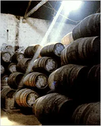 Port Port