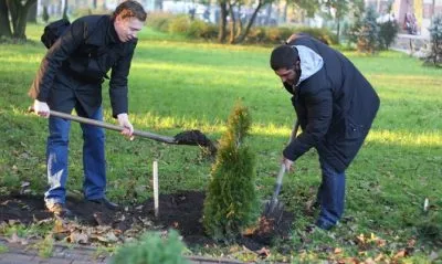 Ültetés és gondozása Tusi egy nyílt terepen tavasszal otthon, mint a takarmány