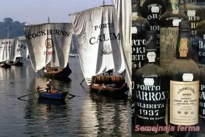 Portói bor - szőlőbor - bor - Könyvtár - családi gazdaság (port) Portói bor - szőlőbor - bor - Könyvtár - családi gazdaság