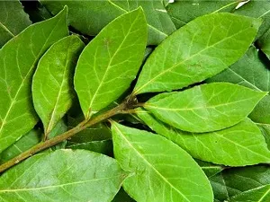 Recept, hogyan kell sütni a halat a sütőben fóliával (a recept) Recept, hogyan kell sütni a sütőben halak fóliában