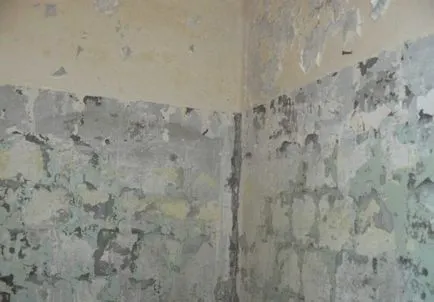 Fürdőszoba felújítás érdekében Hruscsov működik, design (felújított) Fürdőszoba felújítás érdekében Hruscsov működik, design