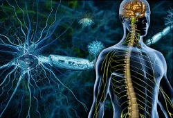 A sclerosis multiplex típusú, tünetei, kezelése népi jogorvoslat