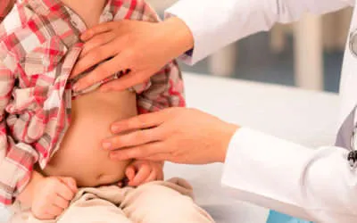 Rehydron gyermek oktatás, alkalmazás, hogyan kell tenyészteni (rehydron) Rehydron gyermek oktatás, a megfelelő növényi