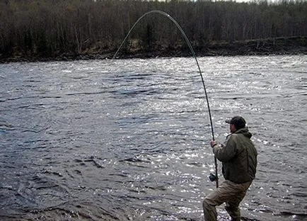 Fish ponty leírás, szokások és hogyan kapja (hal) Fish ponty leírás, szokások és módszerek a halászati