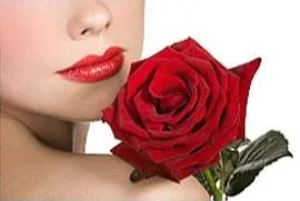 Rose - a virágok nyelvén