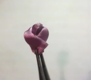 Rózsa szatén szalagokkal technológiai kanzasi (fotó és videó)