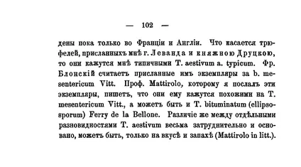 Magyar fekete szarvasgomba - helyszíni m