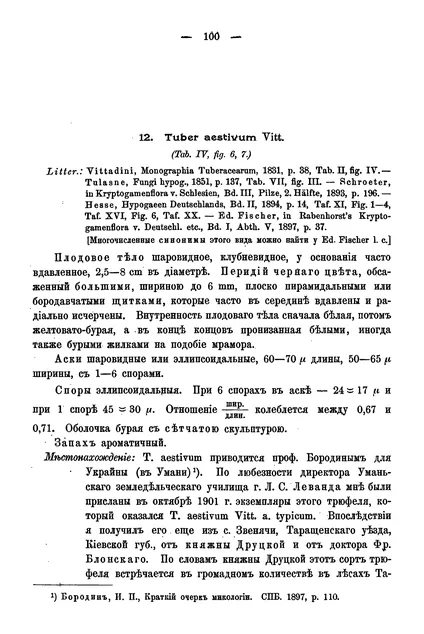 Magyar fekete szarvasgomba - helyszíni m