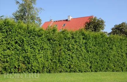 Mit kezd tereprendezés rész