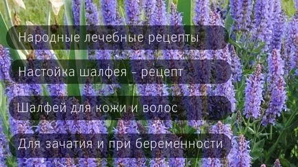 Sage - kezelés és kozmetikai akció