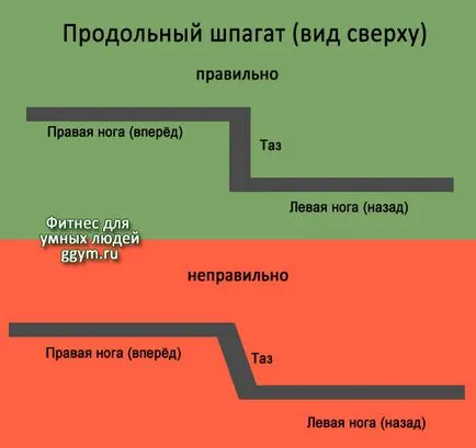 Zsineg kezdőknek, fitness az okos emberek
