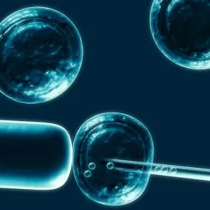 Használata humán őssejtek köldökvér őssejt terápia (humán) Használata humán őssejtek köldökvér őssejt terápia