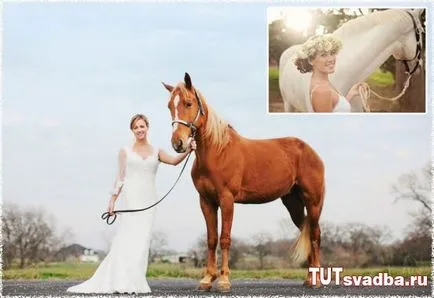 Esküvői fotózást lovakkal - esküvői portált Wedding