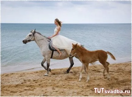 Esküvői fotózást lovakkal - esküvői portált Wedding