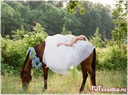 Esküvői fotózást lovakkal - esküvői portált Wedding