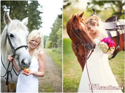 Esküvői fotózást lovakkal - esküvői portált Wedding