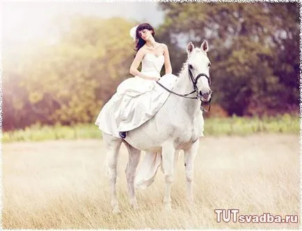 Esküvői fotózást lovakkal - esküvői portált Wedding