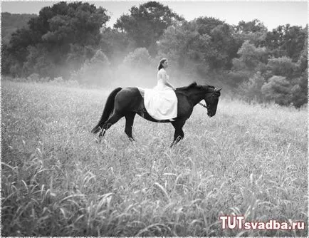Esküvői fotózást lovakkal - esküvői portált Wedding