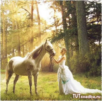 Esküvői fotózást lovakkal - esküvői portált Wedding