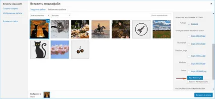 Vízjelek wordpress - bespplatnye vízjel plugin