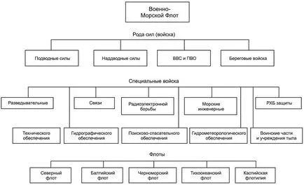 A haditengerészet az Orosz Föderáció
