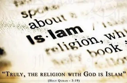 Vissza a Islam
