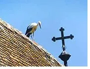 Szokások és hagyományok társított bor